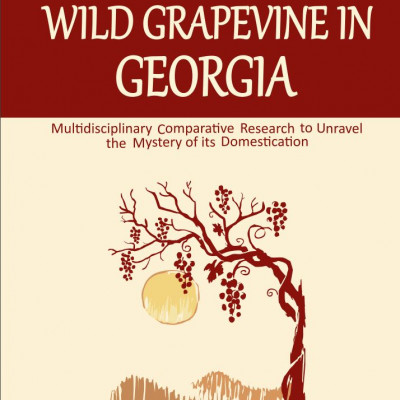 WILD GRAPEVINE IN GEORGIA