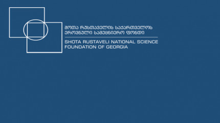 Annual Conference of 2017 by the Shota Rustaveli National Science Foundation of Georgia