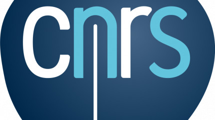 SRNSF announces CNRS Call for Georgian Scientists