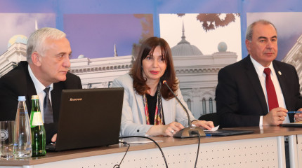ივანე ჯავახიშვილის სახელობის თბილისის სახელმწიფო უნივერსიტეტისა და ენის სახელმწიფო დეპარტამენტის ერთობლივი სამეცნიერო კონფერენცია