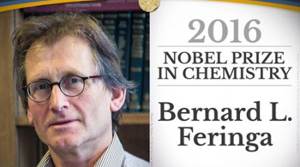 The 2016 Nobel Prize in Chemistry