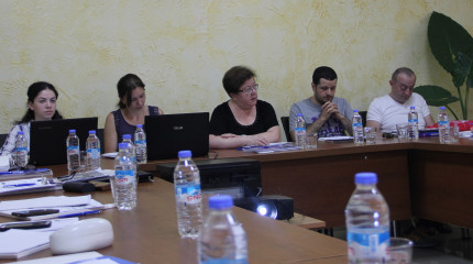 შოთა რუსთაველის ეროვნული სამეცნიერო ფონდის სემინარი  მეცნიერების, ტექნოლოგიებისა და ინოვაციის სისტემის (STI)  პოლიტიკის ანალიზის დოკუმენტის რეკომენდაც ...