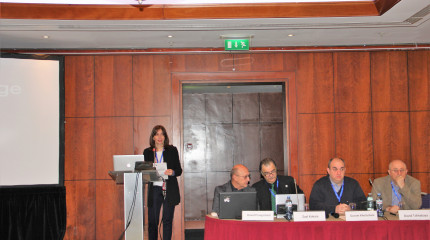 Georgian Diaspora Workshop