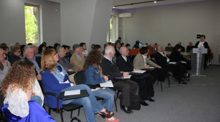 Consulting Days