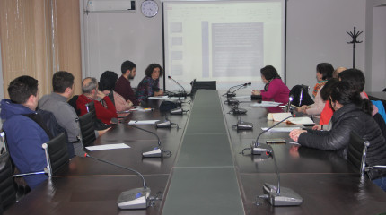 Consultation Meeting