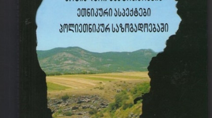 სოციალური უსაფრთხოების ეთნიკური ასპექტები პოლიეთნიკურ საზოგადოებაში