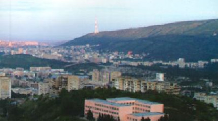 უხერხემლო ცხოველები - ურბანიზებული გარემოს ბიოინდიკატორები