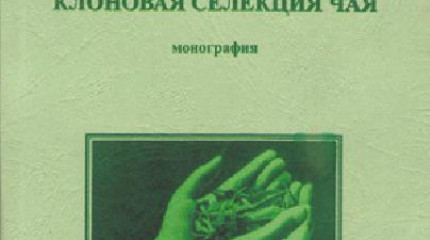 Клоновая селекция чая