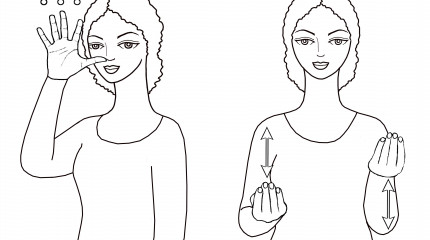 Georgian Sign Language Dictionary
