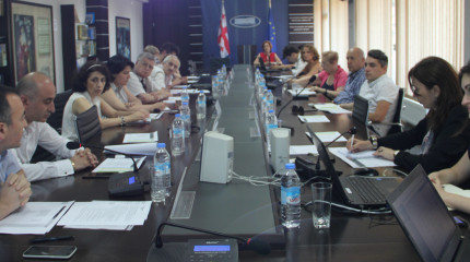 სამუშაო შეხვედრა საქართველოს ინსტიტუციებისგან შემდგარ კონსორციუმის წარმომადგენლებთან