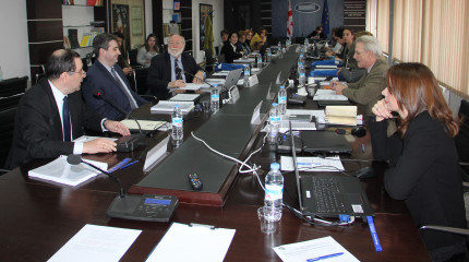 ეროვნული სამეცნიერო ფონდის საერთაშორისო საკოორდინაციო საბჭოს სხდომა გაიმართა