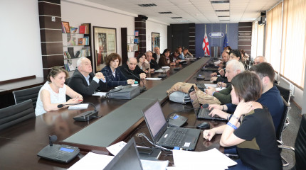 საკონსულტაციო შეხვედრა