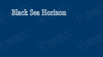 Black Sea Horizon Grant Scheme  to facilitate the participation of Black Sea countries in Brokerage Events