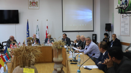 International conference supported by Rustaveli Foundation