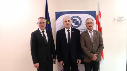    Rustaveli National Science Foundation hosted the German Research Foundation