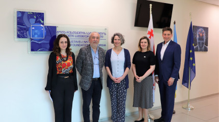 Shota Rustaveli National Science Foundation of Georgia hosted the representatives of The Ruhr University Bochum