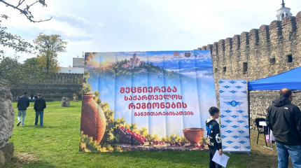თელავში მეცნიერების რეგიონული ფესტივალის დასკვნითი ღონისძიება გაიმართა