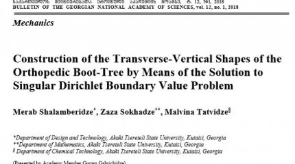 Construction of the Transverse-Vertical Shapes of the Orthopedic Boot-Tree by Means of the Solution to Singular Dirichlet Boundary Value Problem 