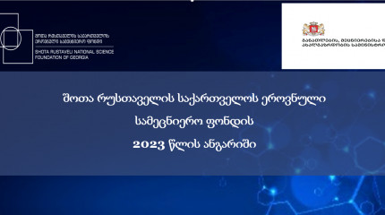 შოთა რუსთაველის საქართველოს ეროვნული სამეცნიერო ფონდის 2023 წლის ანგარიში