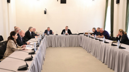 დიასპორისა და კავკასიის საკითხთა კომიტეტმა შოთა რუსთაველის საქართველოს ეროვნული სამეცნიერო ფონდის მიერ განხორციელებული და დაგეგმილი პროექტების შესახებ ...