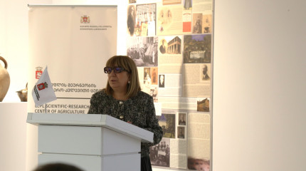 გაიმართა პროექტის - „საქართველოს ტყის იშვიათი და რელიქტური სახეობების შესწავლა და ელექტრონული მონაცემთა ბაზის შექმნა“ - სემინარი