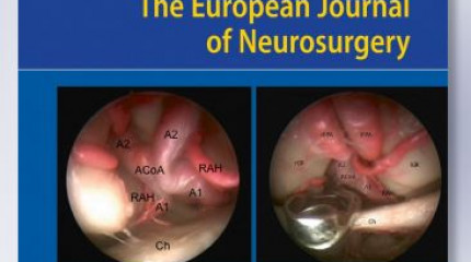 Perspectives of epilepsy surgery in resource-poor countries: a study in Georgia