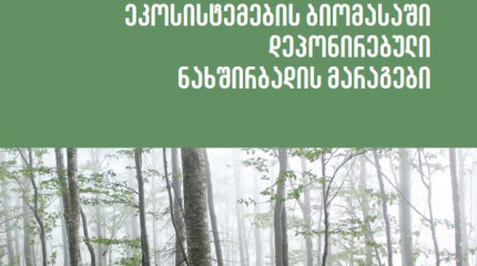 საქართველოს ტყის  ეკოსისტემების ბიომასაში  დეპონირებული ნახშირბადის  მარაგები