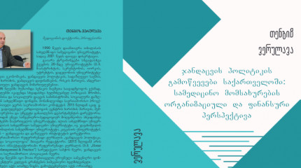 ჯანდაცვის პოლიტიკის გამოწვევები საქართველოში:სამედიცინო მომსახურების ორგანიზაციული და ფინანსური  პერსპექტივა