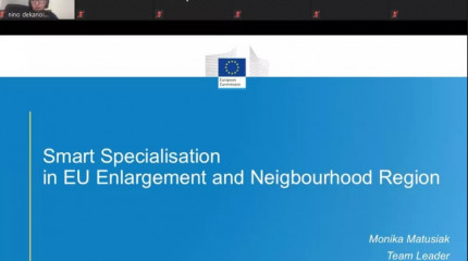 ონლაინ შეხვედრა  ,, Smart Specialisation for Regional Growth in Georgia“