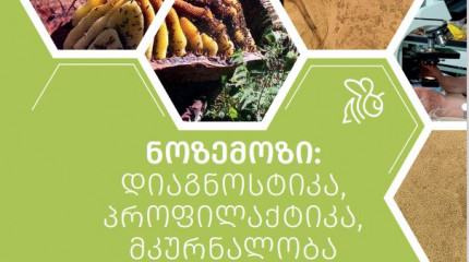 ნოზემოზი:  დიაგნოსტიკა,  პროფილაქტიკა,  მკურნალობა  ინოვაციური  პრეპარატებით