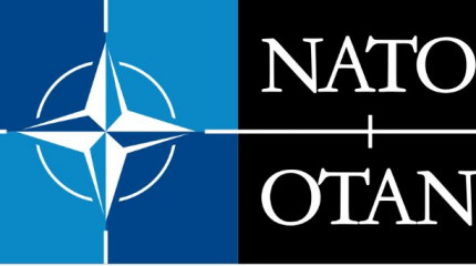  გამოცხადდა კონკურსი NATO-ს პროგრამა  „მეცნიერება მშვიდობისა და უსაფრთხოებისათვის“  ფარგლებში