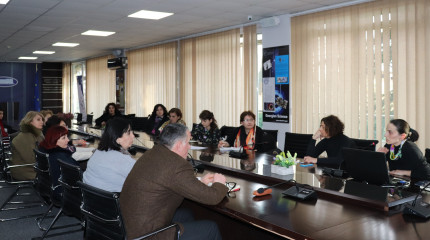 საკონსულტაციო შეხვედრა