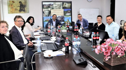 ფონდის გენერალური დირექტორის შეხვედრა ოქსფორდის უნივერსიტეტის პროფესორებთან 