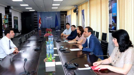 ავსტრიის საგანგებო და სრულუფლებიან ელჩთან შეხვედრა