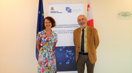 The President of the International Committee of Historical Sciences visited Shota Rustaveli National Science Foundation of Georgia 