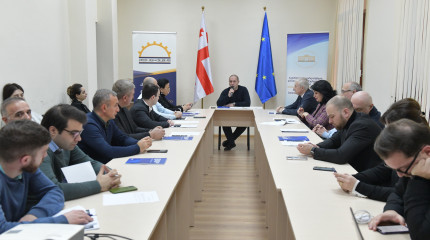 რუსთაველის ფონდის გენერალური დირექტორის საანგარიშო  პრეზენტაცია პარლამენტის  განათლებისა და მეცნიერების კომიტეტის გასვლით სხდომაზე 