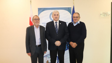 რუსთაველის  სამეცნიერო ფონდის  გენერალური დირექტორი  ბირთვული კვლევების ევროპული ორგანიზაციის - ცერნის (CERN) მეცნიერებს შეხვდა