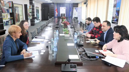 Meeting with representatives of the French Embassy and the French Institute of Georgia