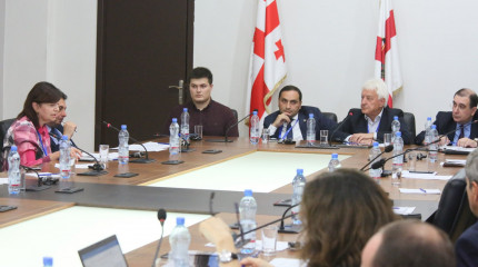  მრგვალი მაგიდა  ,,GGSB - PLUS - საქართველო გერმანიის სამეცნიერო ხიდის მომავალი” 
