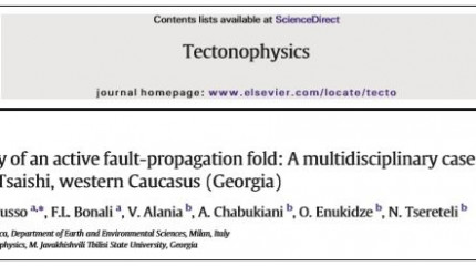 3-D anatomy of active fault-propagation fold: A multidisciplinary case study from Tsaishi, western Caucasus (Georgia)