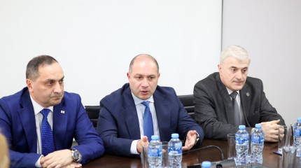 გივი მიქანაძე შოთა რუსთაველის საქართველოს ეროვნული სამეცნიერო ფონდის თანამშრომლებს შეხვდა