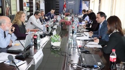 International Coordinating Board Meeting VIII f Shota Rustaveli National Science Foundation of Georgia