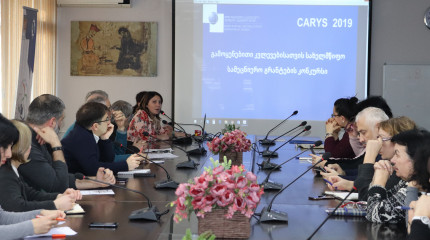  Consultation Meeting