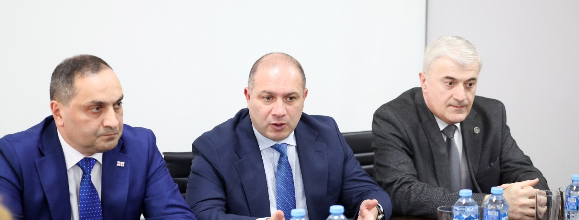 გივი მიქანაძე შოთა რუსთაველის საქართველოს ეროვნული სამეცნიერო ფონდის თანამშრომლებს შეხვდა