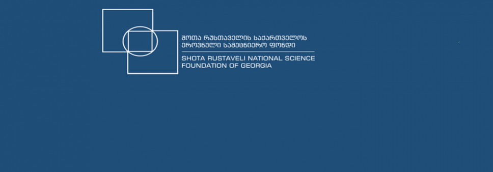 Annual Conference of 2017 by the Shota Rustaveli National Science Foundation of Georgia