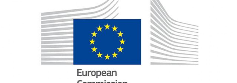 ინფორმაცია საჯარო კონსულტაციების შესახებ