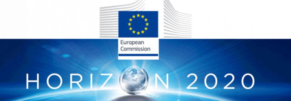 ინფორმაცია „ჰორიზონტი 2020“-ის პროგრამის ფარგლებში დაგეგმილი ტრეინინგ- კურსის შესახებ