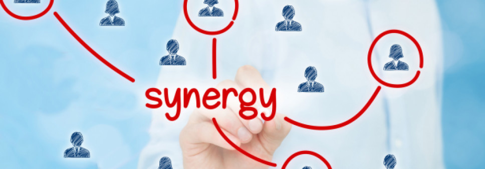 Information on the Synergy Grants 2018 by the ERC Scientific Council