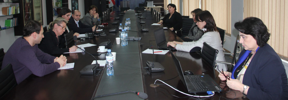 პროფესორ მარია მაკაროვის შეხვედრა საქართველოს სამეცნიერო ცენტრებისა და უნივერსიტეტების წარმომადგენლებთან