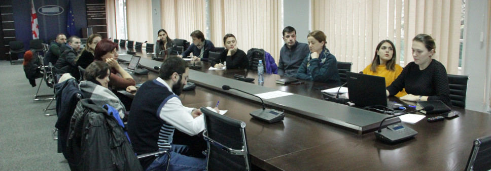 საკონსულტაციო შეხვედრა